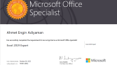 Profesyonel Excel Hizmetlerim