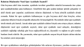 Metin Yazarlığı Çalışma Örneği 4