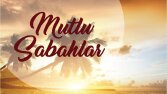Gerçek Sosyal Medya Tasarımı