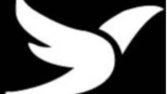 FLYNEST Turizm şirketinin logosu