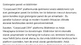 Teknik Çeviri Örneği