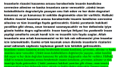 Felsefe yaklaşımlı kitaptan kısa bir kesit