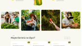 Profesyonel, UI/UX Design
