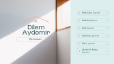 İngilizce-Türkçe alanında etkileyici çeviri 