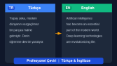 İngilizce - Türkçe Akademik Metin Çevirisi