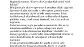 Psikoloji Alanında Paraphrase Çevirilerim