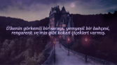 Stilistik Altyazı Tasarımı