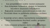 Sosyal medya tasarım