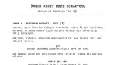 Dikey Dizi Senaryo Taslağı (Demo)