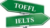 PROFESYONEL ÇEVİRİ
