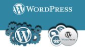 wp destek