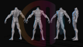 Basemesh