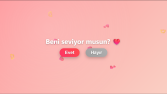 Web Tasarımları