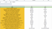 Soru-Cevap Excel Veri Düzenleme