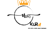 Spss Uzmanı Logo Tasarımı