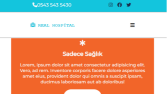Responsive halde web sitesi örneği