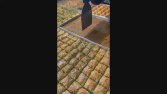 PürTat Baklavaları Instagram Reels Çalışması