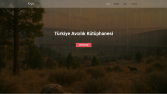 Websitesi Geliştirme