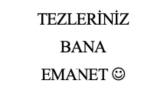 tez düzenleme redaksiyon işleri bende...