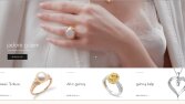 Wordpress İle E-Ticare Web Site 