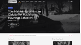 Haber, Blog sitesi