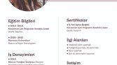 Cv - İnfografik Tasarımlar