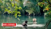 Belgesel Seslendirmelerim