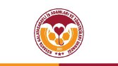 Galatasaraylı İş Adamları Derneği Logo Tasarım 