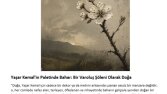 "Edebi Makale Yazımı ve Dergi Mizanpajı Tasarımı"