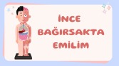 Lise Biyoloji Sunumum