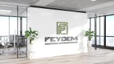 FEYDEM Kurumsal Logo Tasarımı