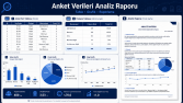 Anket Verileri İçin Analiz Raporu
