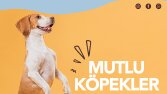 Poyraz Ödül Maması Sosyal Medya Görselleri