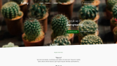 kaktusberatung.com - Site Kurulumu
