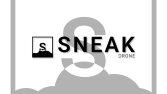 Sneak Drone