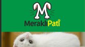 Logo Tasarımı