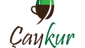 Çaykur konsept logo tasarımı