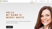 Kişisel website
