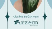 Sosyal Medya Tasarımları