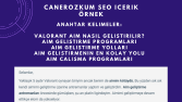 SEO Uyumlu İçerik Çalışması - 5