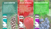 Silver Broşür ve Afiş çalışması