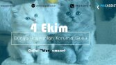 İş örneğim