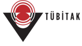 TÜBİTAK Proje Danışmanlığı