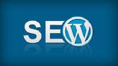 Wordpress Seo Nedir ?