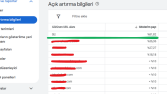 Google Ads-Arama Ağı