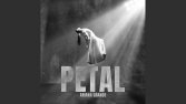 PETAL - Alternatif Albüm Kapağı (Ariana Grande Fan Art)