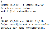Alt Yazı Çevirisi