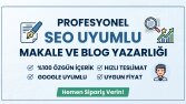 SEO Uyumlu Kurumsal Makale ve Blog İçeriği