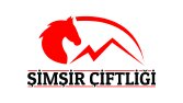 ŞİMŞİR ÇİFTLİĞİ KONSEPT TASARIMI