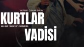 Kurtlar Vadisi - Konsept Dizi Afişi ve Poster Tasarımı